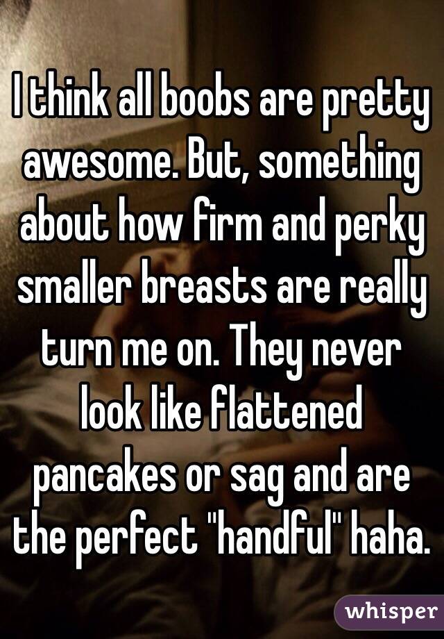 I think all boobs are pretty awesome. But, something about how firm and perky smaller breasts are really turn me on. They never look like flattened pancakes or sag and are the perfect "handful" haha.