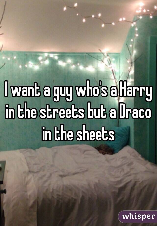 I want a guy who's a Harry in the streets but a Draco in the sheets
