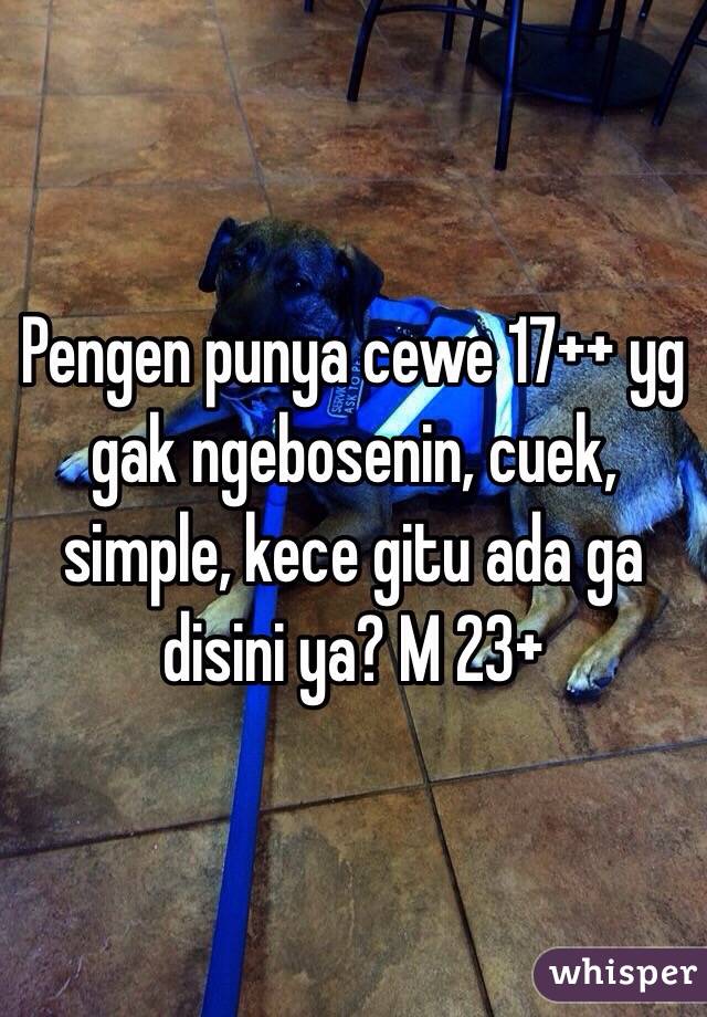 Pengen punya cewe 17++ yg gak ngebosenin, cuek, simple, kece gitu ada ga disini ya? M 23+