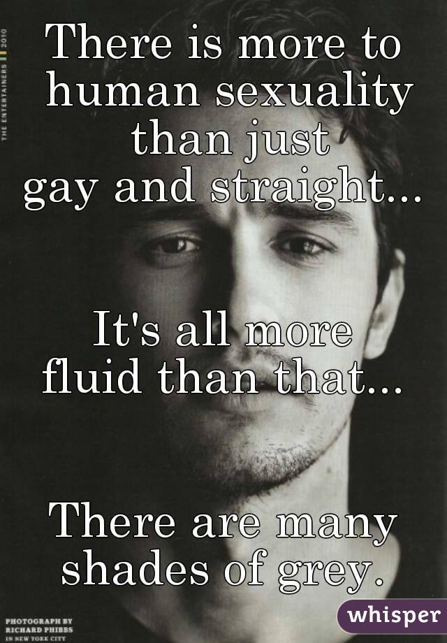 There is more to human sexuality than just
gay and straight...


It's all more
fluid than that...


There are many shades of grey. 