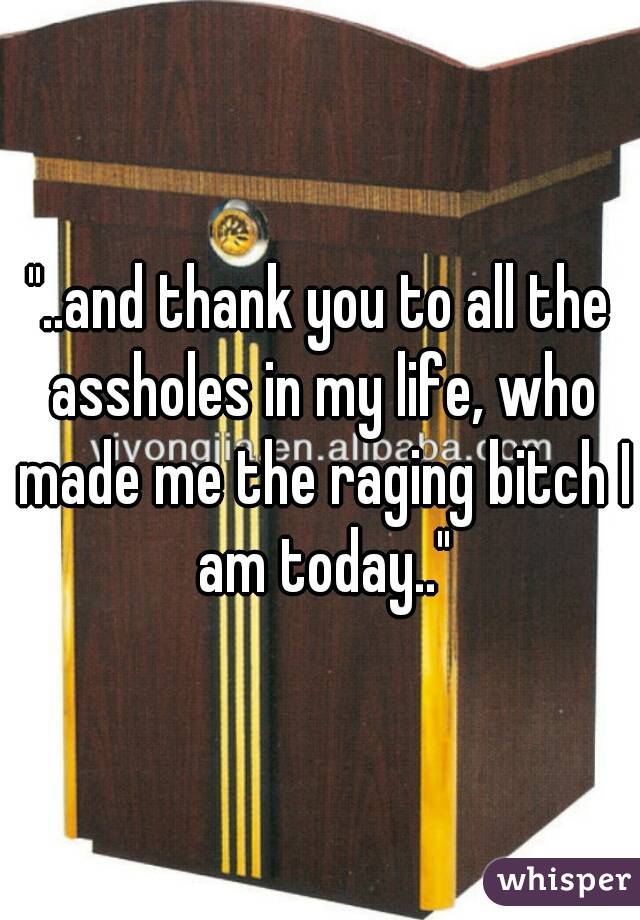 "..and thank you to all the assholes in my life, who made me the raging bitch I am today.."