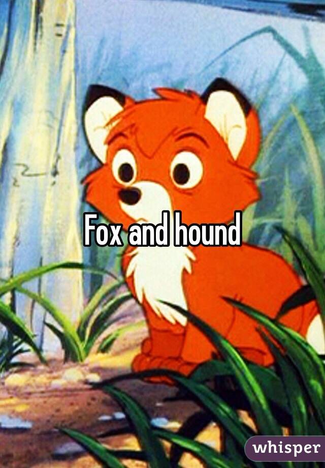 Fox and hound 