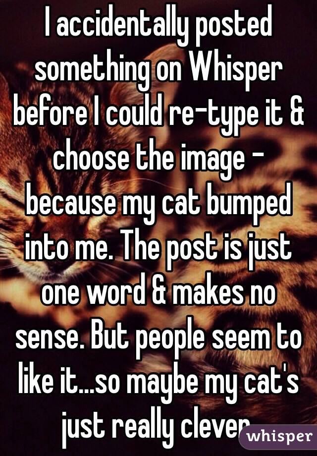 I accidentally posted something on Whisper before I could re-type it & choose the image - because my cat bumped into me. The post is just one word & makes no sense. But people seem to like it...so maybe my cat's just really clever.