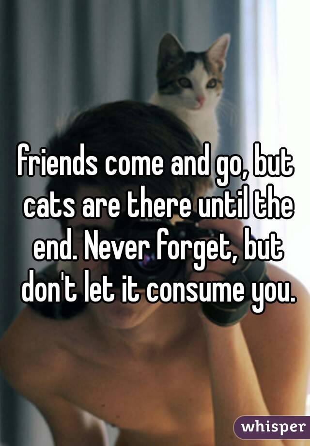 friends come and go, but cats are there until the end. Never forget, but don't let it consume you.