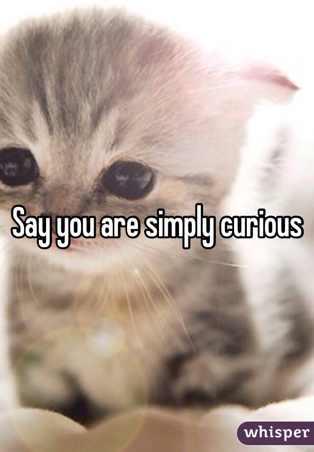 Say you are simply curious 