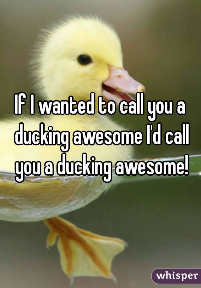 If I wanted to call you a ducking awesome I'd call you a ducking awesome!
