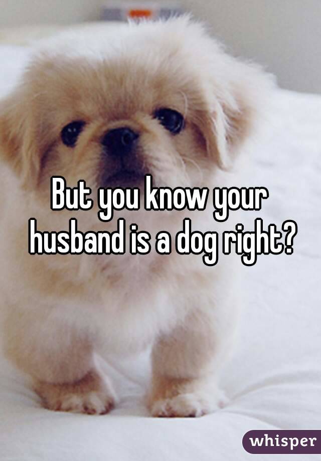 But you know your husband is a dog right?