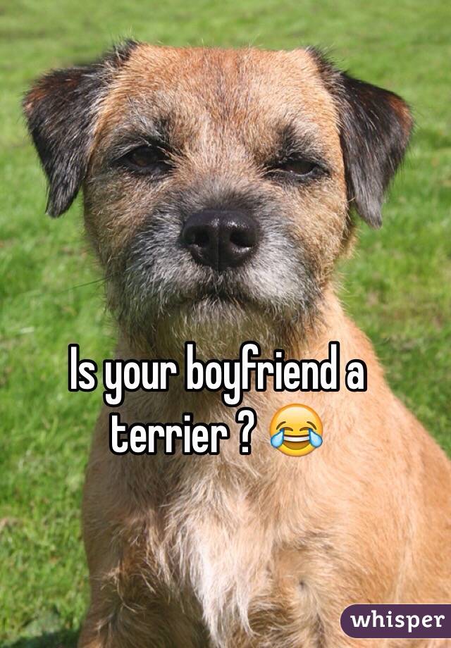 Is your boyfriend a terrier ? 😂