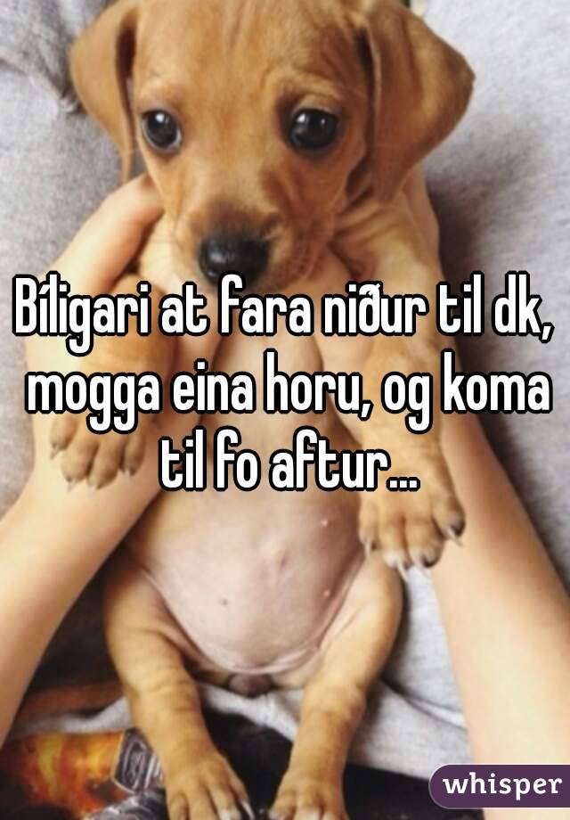 Bíligari at fara niður til dk, mogga eina horu, og koma til fo aftur...