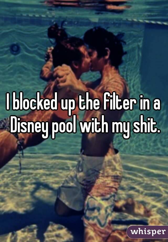 I blocked up the filter in a Disney pool with my shit.