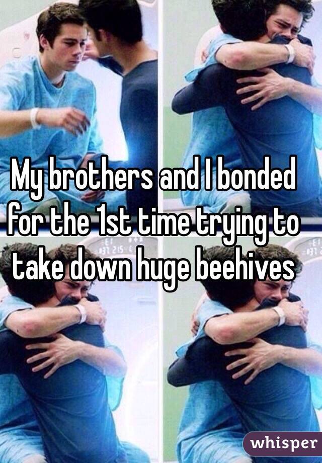 My brothers and I bonded for the 1st time trying to take down huge beehives