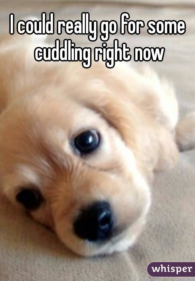 I could really go for some cuddling right now