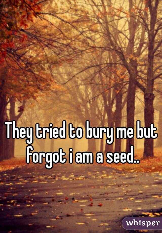 They tried to bury me but forgot i am a seed..