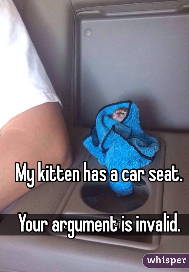 My kitten has a car seat.

Your argument is invalid.