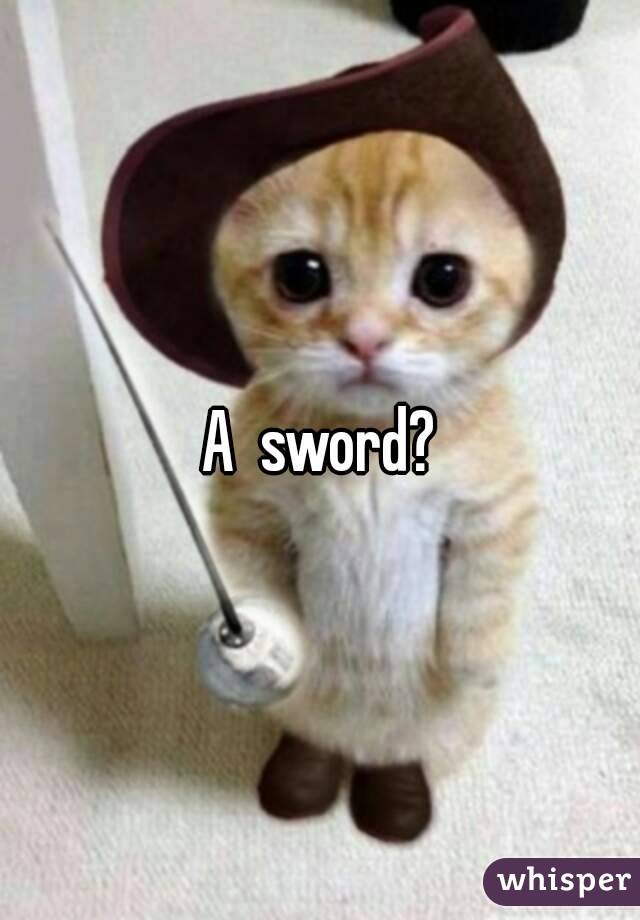 A  sword?