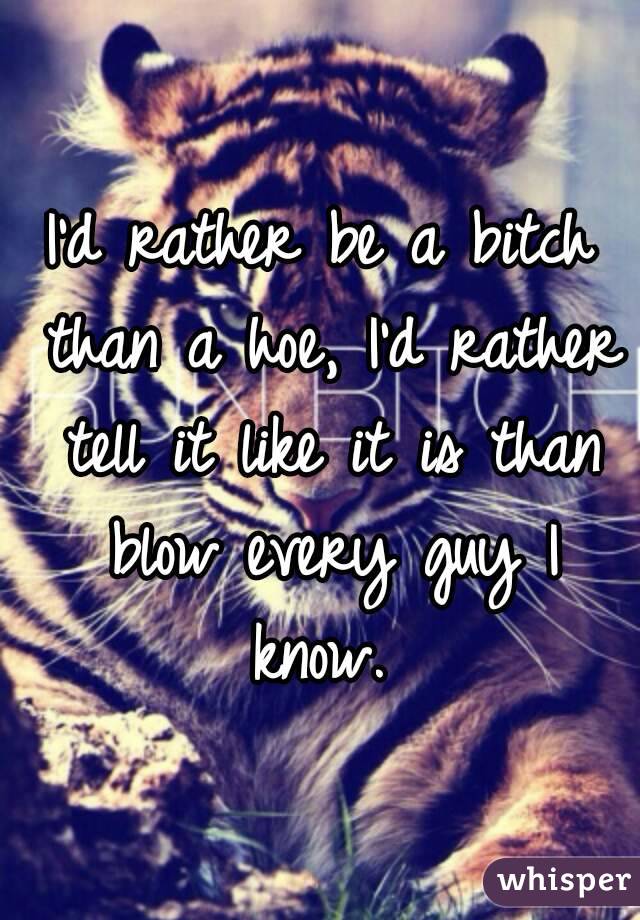 I'd rather be a bitch than a hoe, I'd rather tell it like it is than blow every guy I know. 