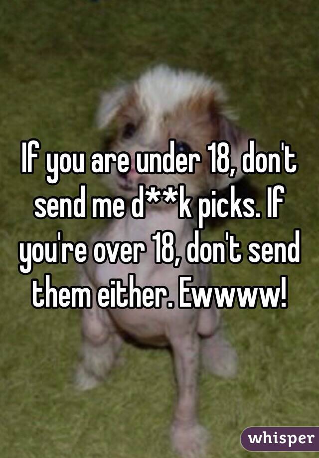 If you are under 18, don't send me d**k picks. If you're over 18, don't send them either. Ewwww!