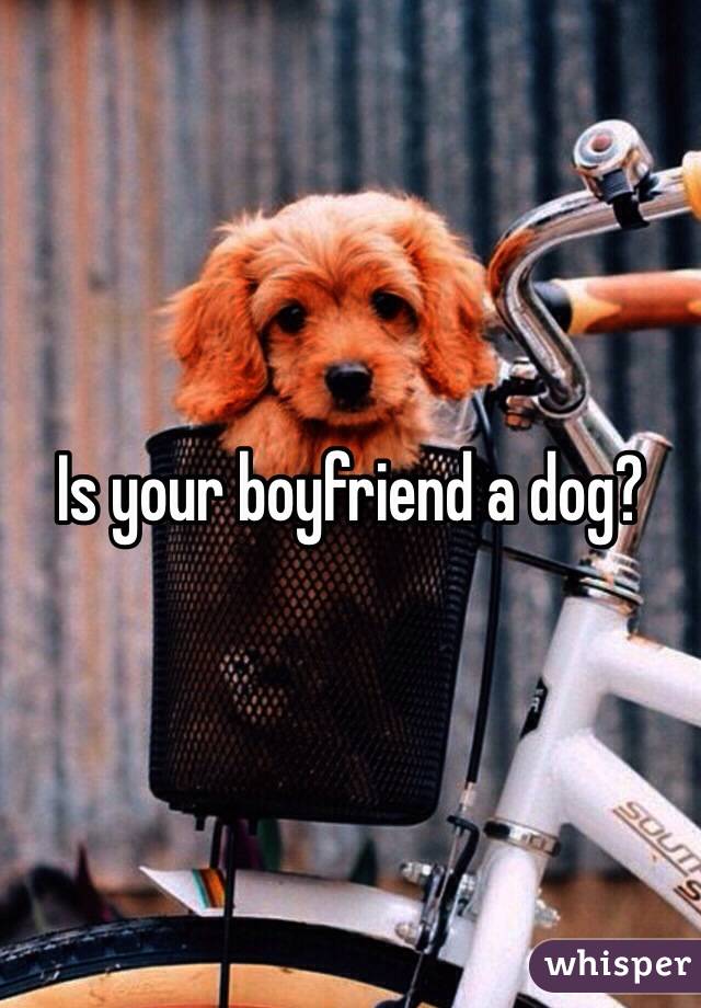 Is your boyfriend a dog?