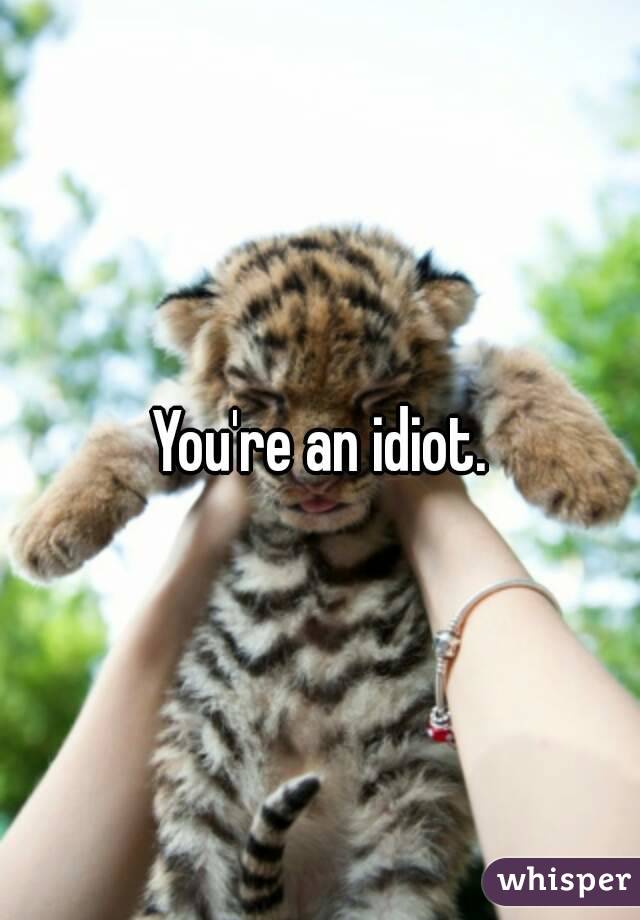 You're an idiot.