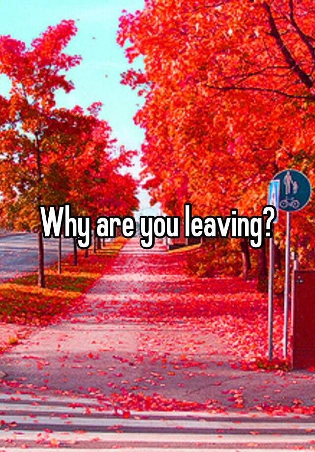 why-are-you-leaving