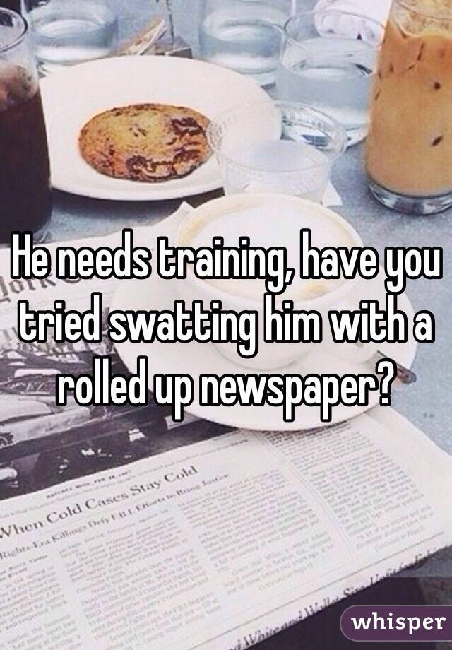 He needs training, have you tried swatting him with a rolled up newspaper?