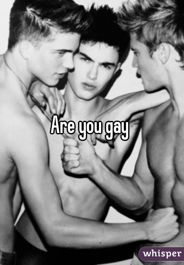 Are you gay 