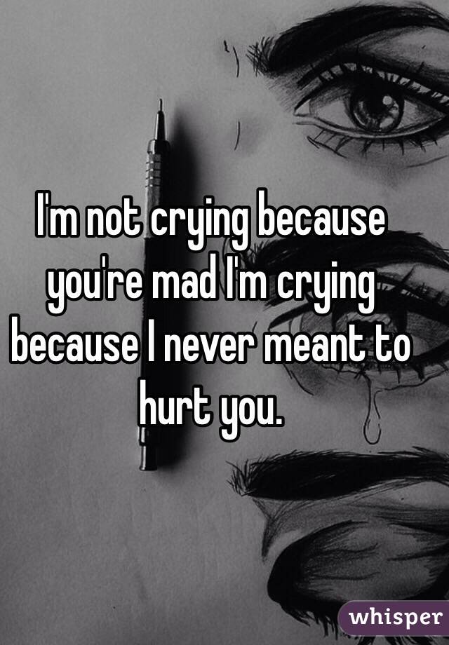 I'm not crying because you're mad I'm crying because I never meant to hurt you. 