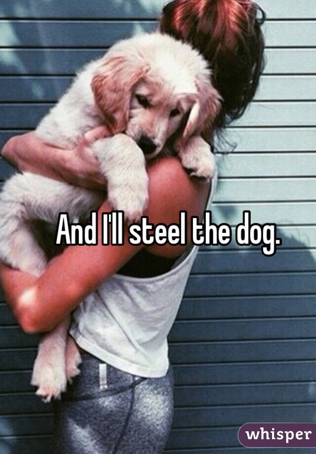 And I'll steel the dog. 