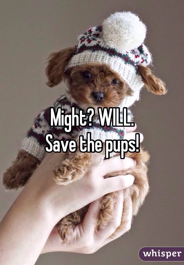 Might? WILL. 
Save the pups!