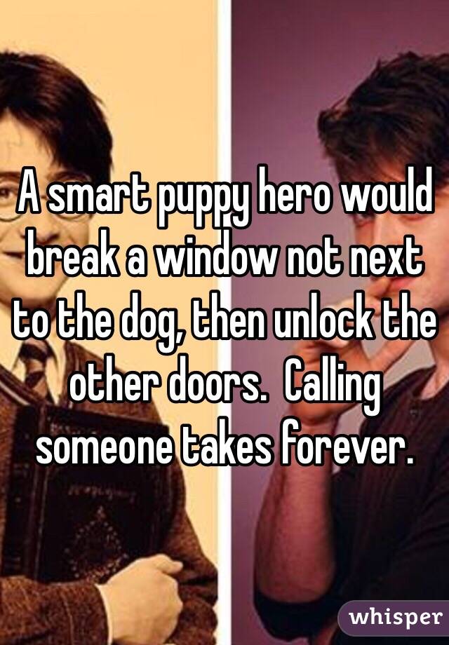 A smart puppy hero would break a window not next to the dog, then unlock the other doors.  Calling someone takes forever.