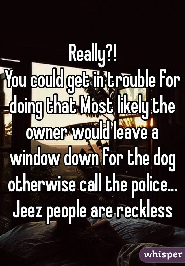 Really?!
You could get in trouble for doing that Most likely the owner would leave a window down for the dog otherwise call the police... Jeez people are reckless 