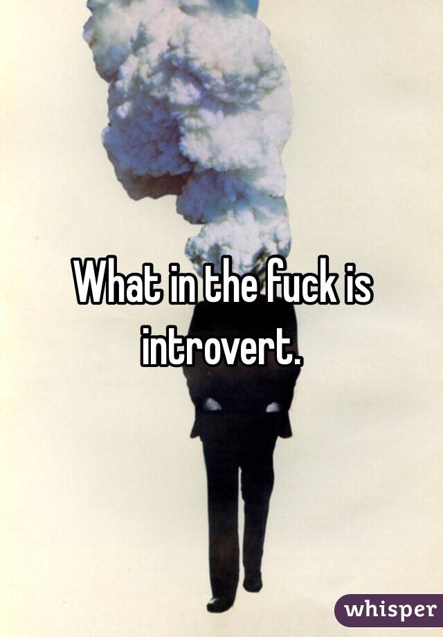 What in the fuck is introvert. 