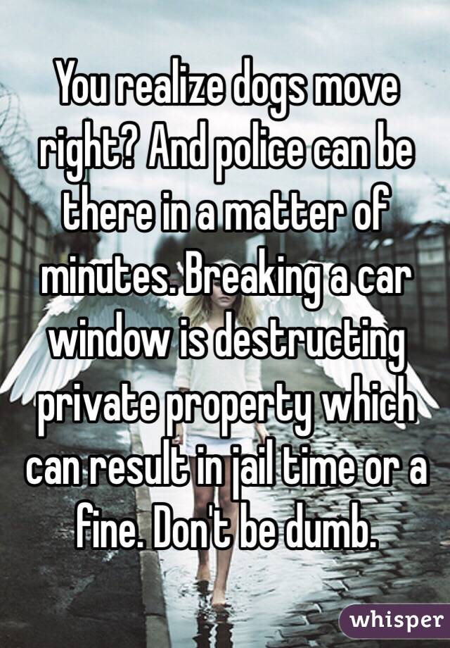 You realize dogs move right? And police can be there in a matter of minutes. Breaking a car window is destructing private property which can result in jail time or a fine. Don't be dumb. 