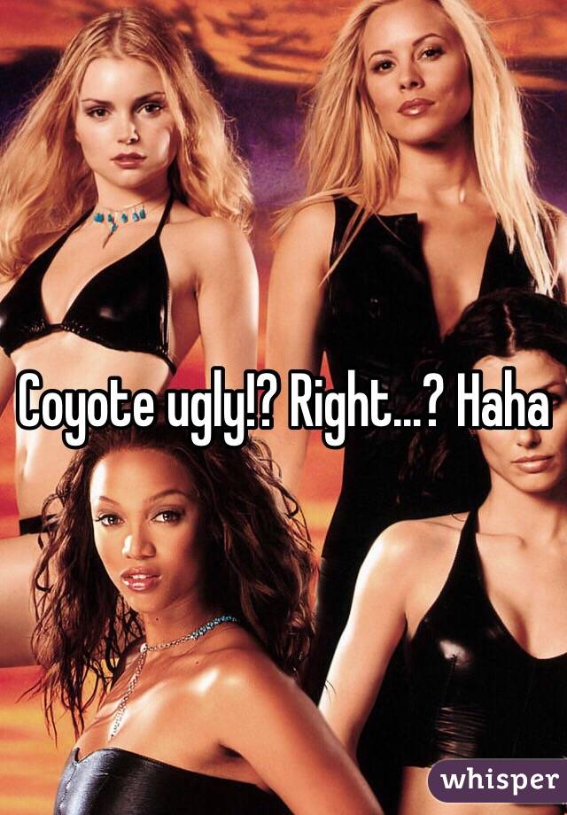 Coyote ugly!? Right...? Haha