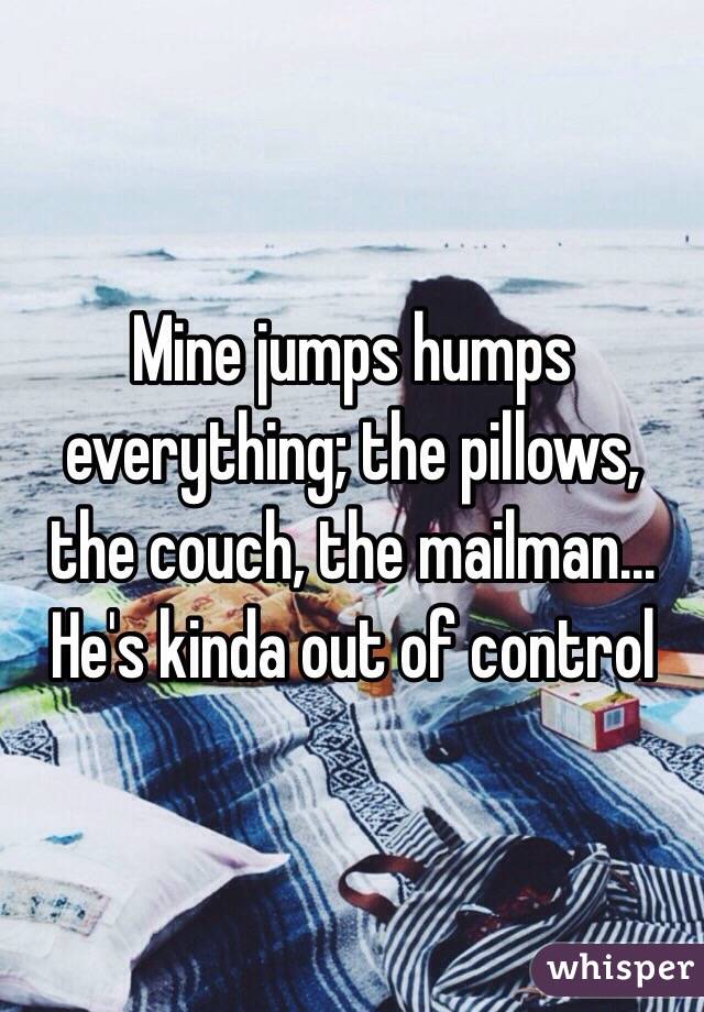 Mine jumps humps everything; the pillows, the couch, the mailman... He's kinda out of control