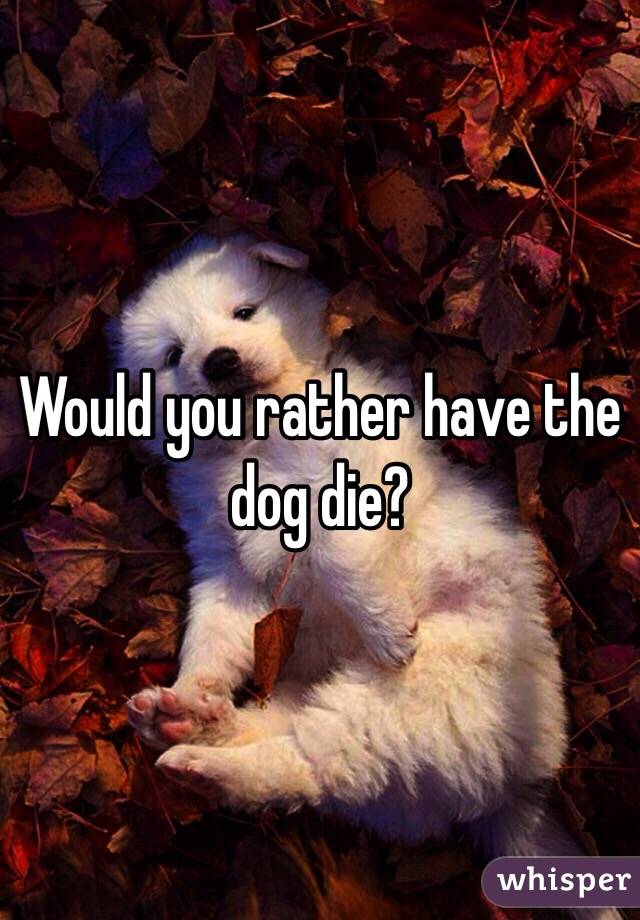 Would you rather have the dog die?