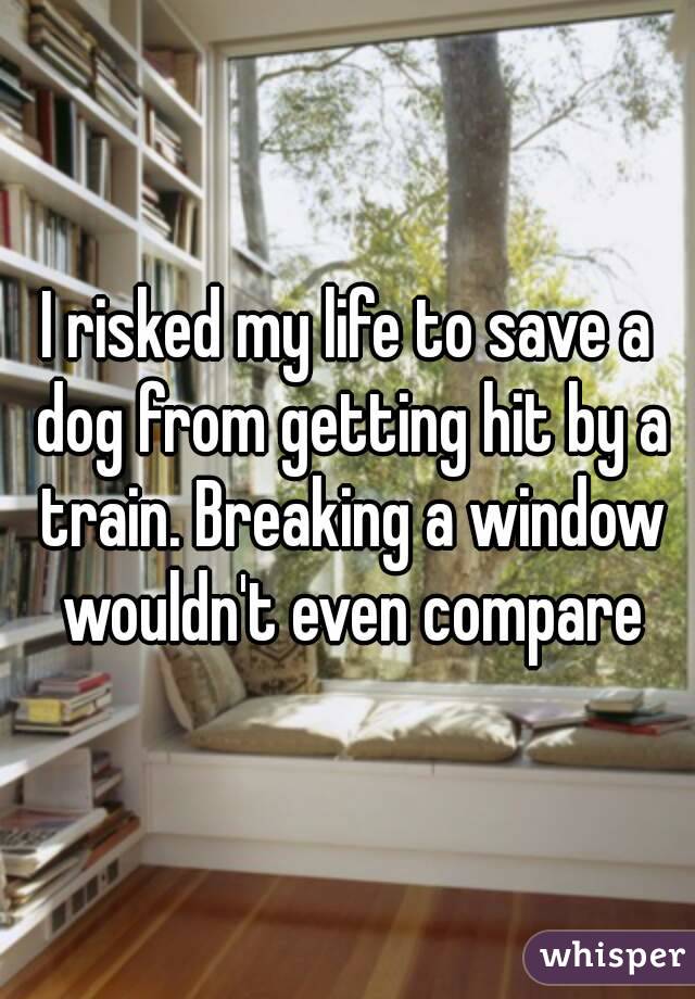 I risked my life to save a dog from getting hit by a train. Breaking a window wouldn't even compare