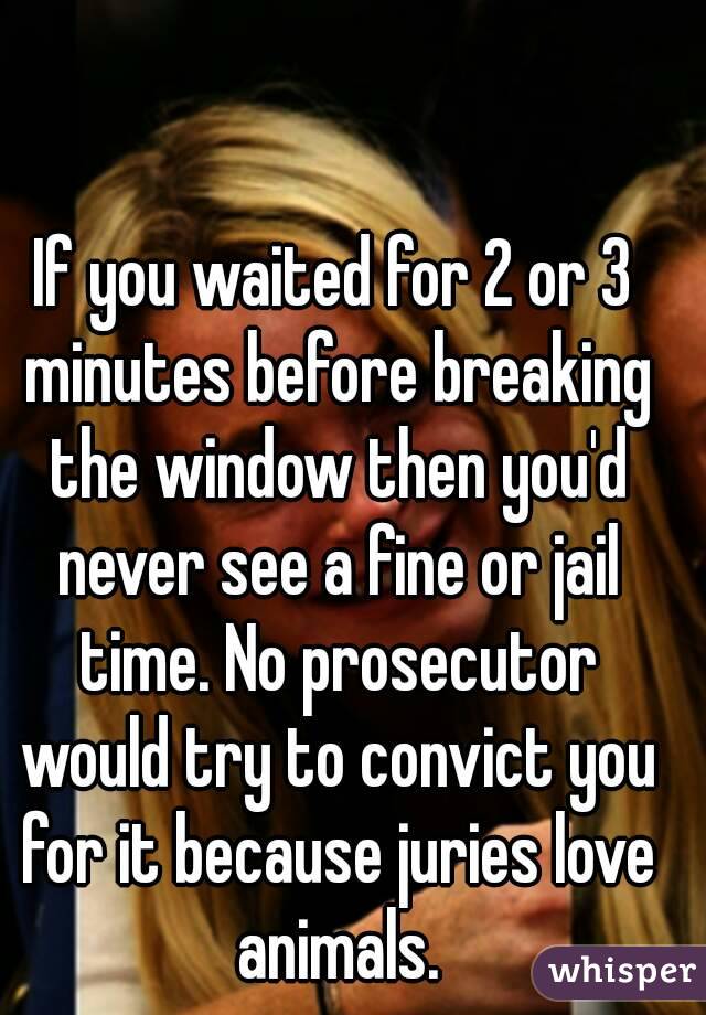 If you waited for 2 or 3 minutes before breaking the window then you'd never see a fine or jail time. No prosecutor would try to convict you for it because juries love animals.