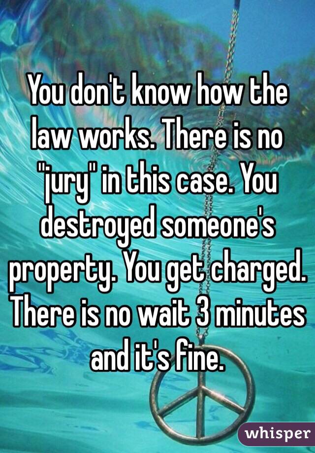 You don't know how the law works. There is no "jury" in this case. You destroyed someone's property. You get charged. There is no wait 3 minutes and it's fine. 