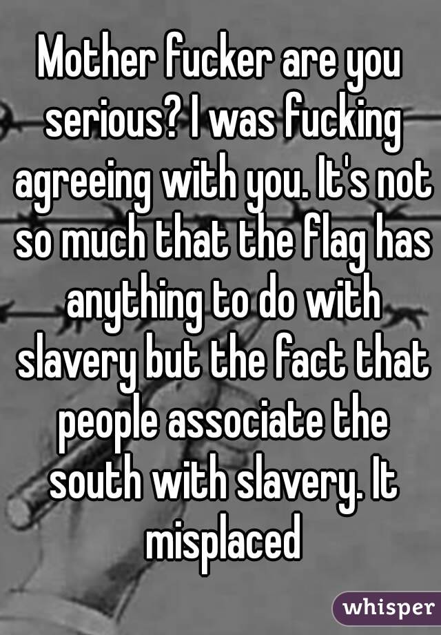 Mother fucker are you serious? I was fucking agreeing with you. It's not so much that the flag has anything to do with slavery but the fact that people associate the south with slavery. It misplaced