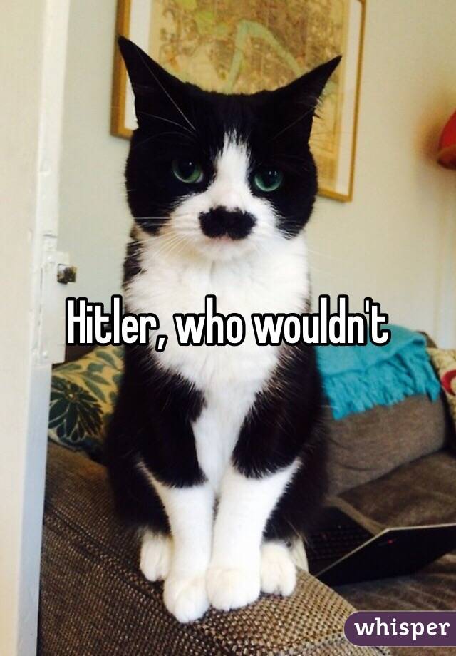 Hitler, who wouldn't 