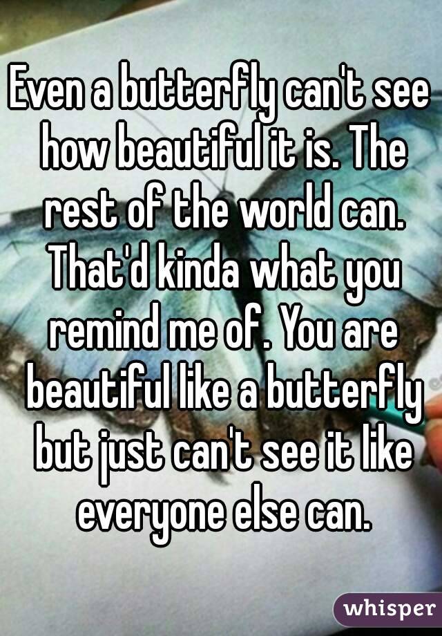 Even a butterfly can't see how beautiful it is. The rest of the world can. That'd kinda what you remind me of. You are beautiful like a butterfly but just can't see it like everyone else can.