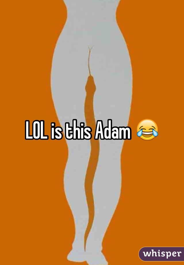LOL is this Adam 😂