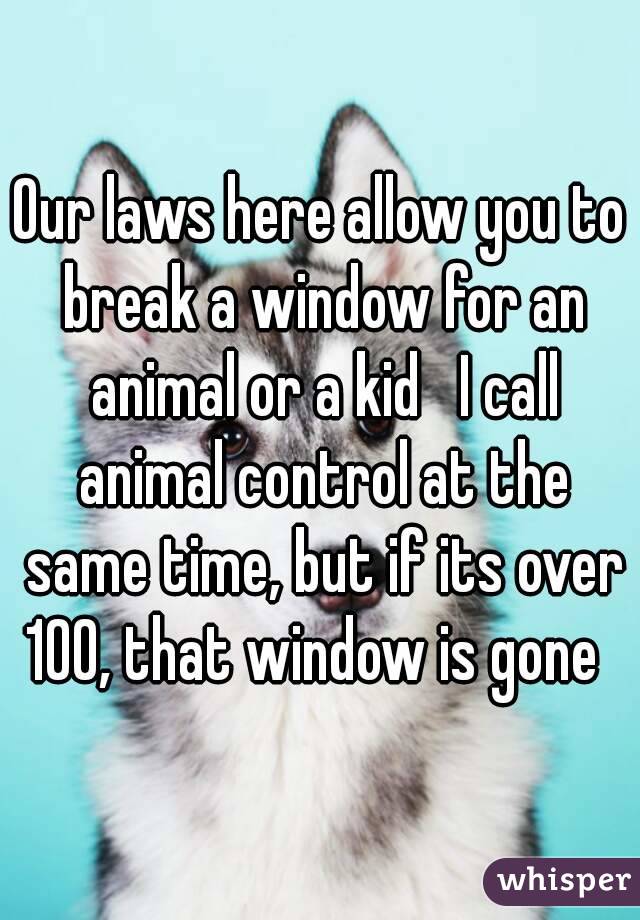 Our laws here allow you to break a window for an animal or a kid   I call animal control at the same time, but if its over 100, that window is gone  