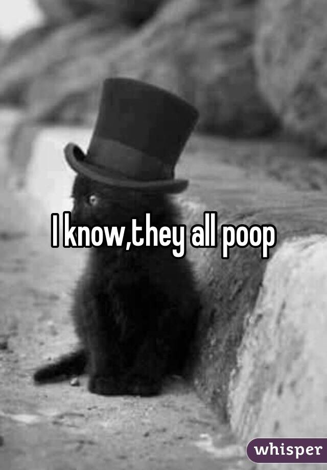 I know,they all poop