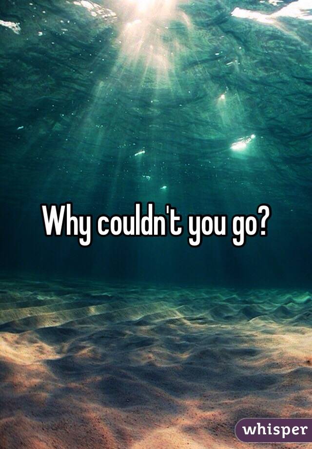 Why couldn't you go?