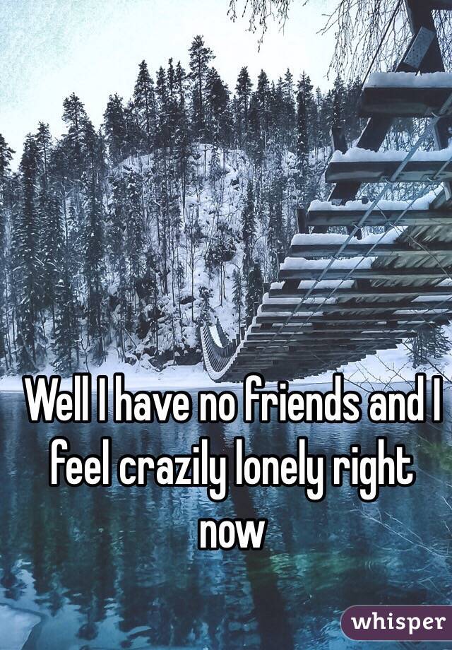 Well I have no friends and I feel crazily lonely right now