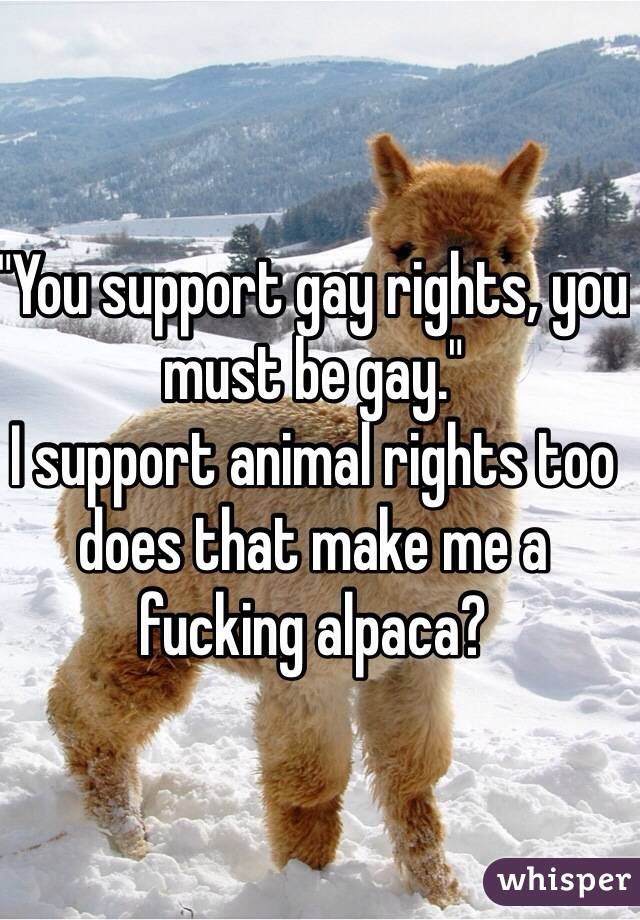"You support gay rights, you must be gay."
I support animal rights too does that make me a fucking alpaca?