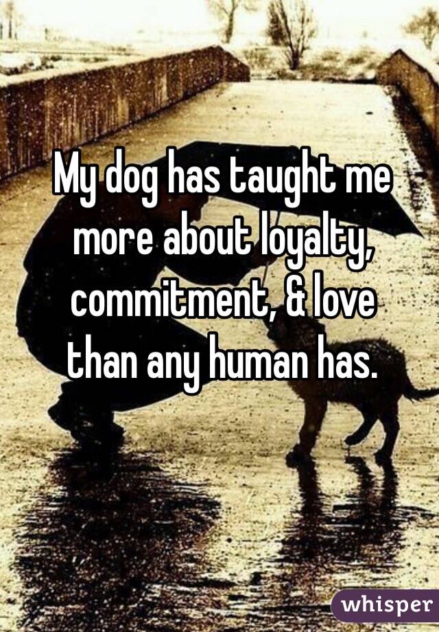 My dog has taught me more about loyalty, commitment, & love 
than any human has. 