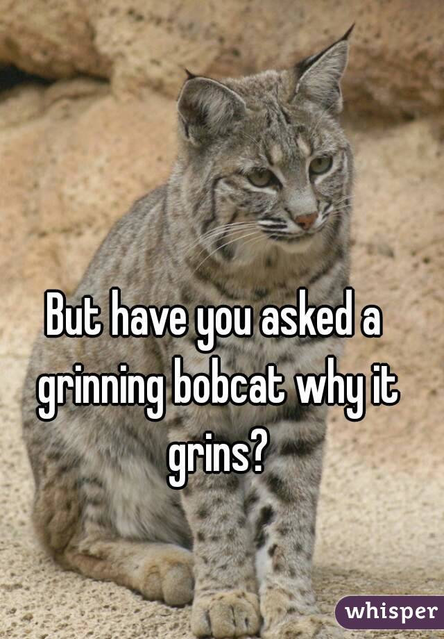 But have you asked a grinning bobcat why it grins?